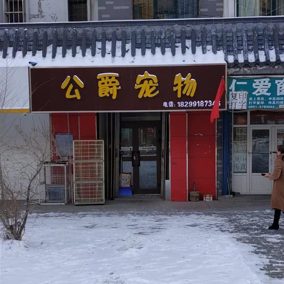 公爵宠物:乌鲁木齐市沙依巴克区