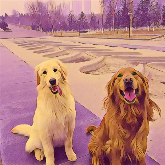 宠多汇宠物会馆(浑南总店):沈阳市浑南区浑南新区附近