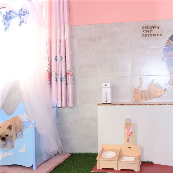 懂它宠物寄养酒店:乌鲁木齐市头屯河区