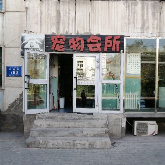 李阳阳狗狗会所:乌鲁木齐市米东区