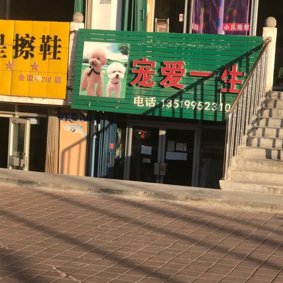 宠爱毕生:克拉玛依市独山子区