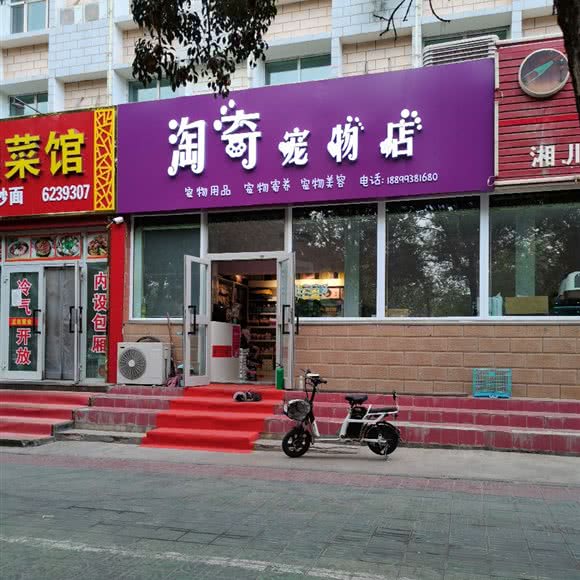 淘奇宠物店:克拉玛依市克拉玛依区