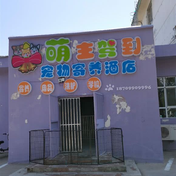 萌主驾到宠物寄养酒店:克拉玛依市克拉玛依区