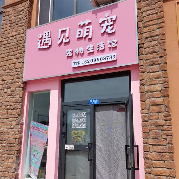 遇见萌宠:克拉玛依市克拉玛依区