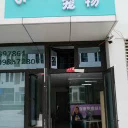 以勒宠物狗:沈阳市浑南区浑南新区附近