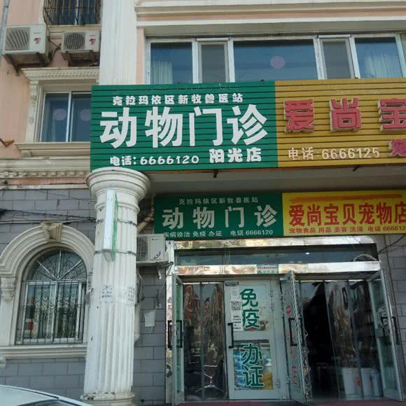 油城动物诊所(阳光店):克拉玛依市克拉玛依区