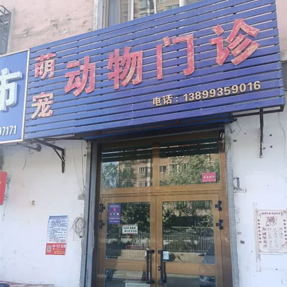 萌宠动物门诊:哈密市伊州区
