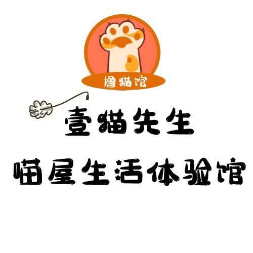 喵屋生活体验馆:昌吉回族自治州昌吉市
