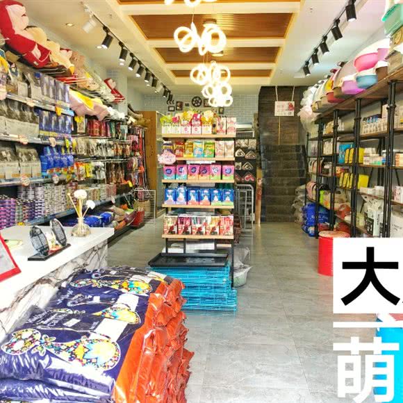 大唐萌宠生活馆(婚恋广场店):昌吉回族自治州昌吉市