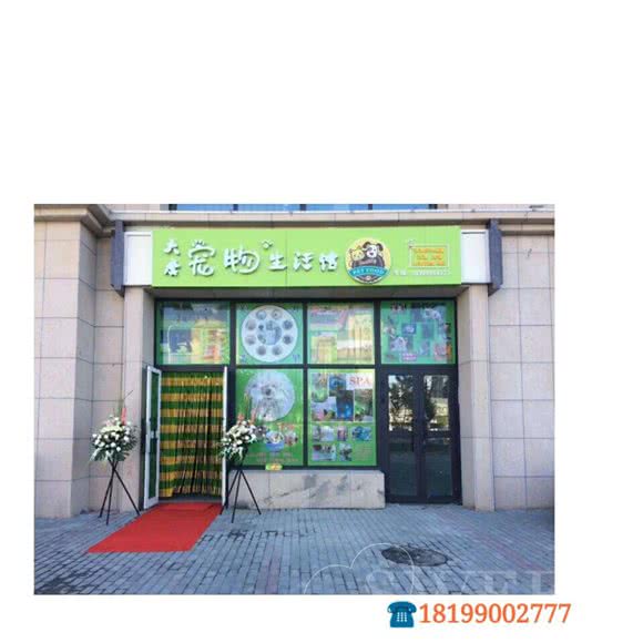 总店大唐宠物生活馆:昌吉回族自治州昌吉市