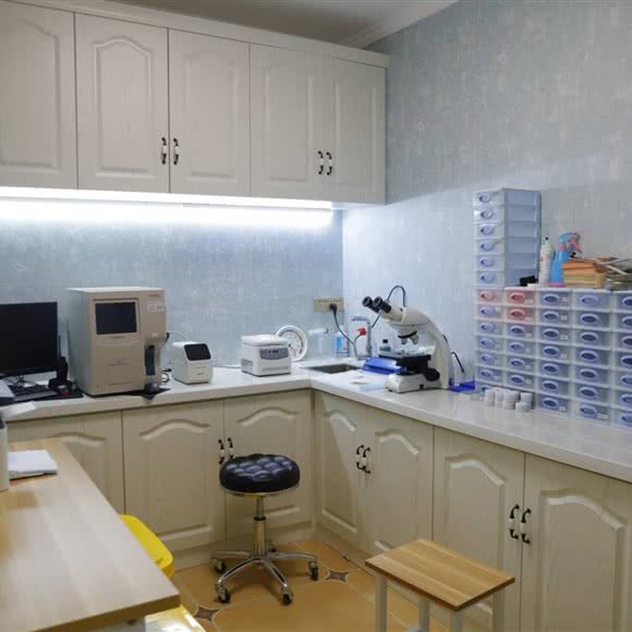 专心动物诊所:昌吉回族自治州昌吉市