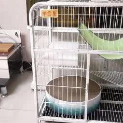 宠来宠趣宠物美容会所:昌吉回族自治州阜康市