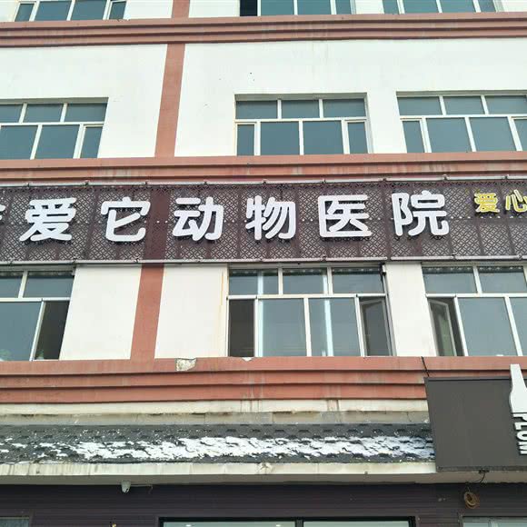 唯爱它宠物医院:昌吉回族自治州阜康市