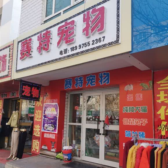 赛特宠物:昌吉回族自治州奇台县