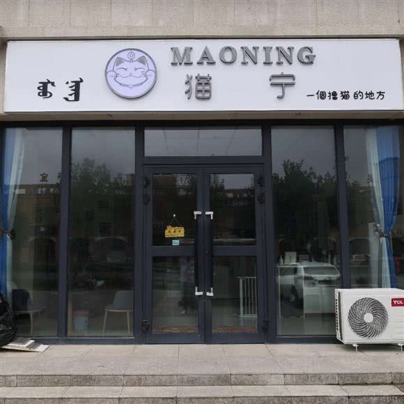 猫宁撸猫园:博尔塔拉蒙古自治州博乐市
