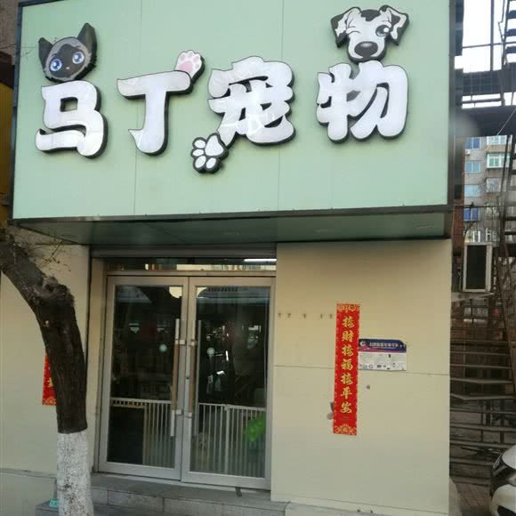 马丁宠物:沈阳市浑南区浑南新区附近