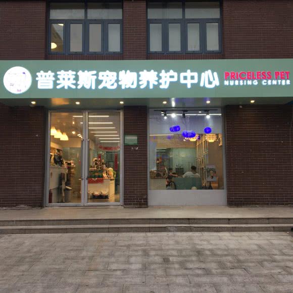 普莱斯宠物养护中心:北京城区朝阳区北沙滩附近