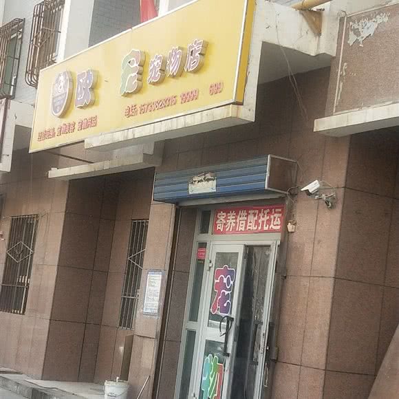 欧宠宠物店:巴音郭楞蒙古自治州库尔勒市