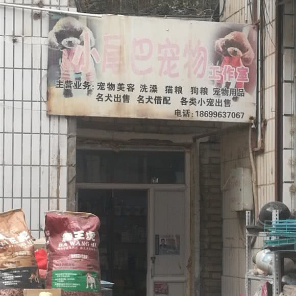 小尾巴宠物工作室:巴音郭楞蒙古自治州库尔勒市