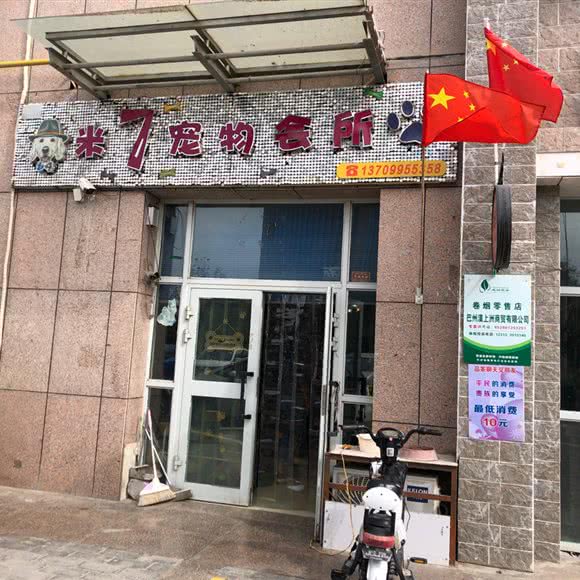 米7宠物会所:巴音郭楞蒙古自治州库尔勒市