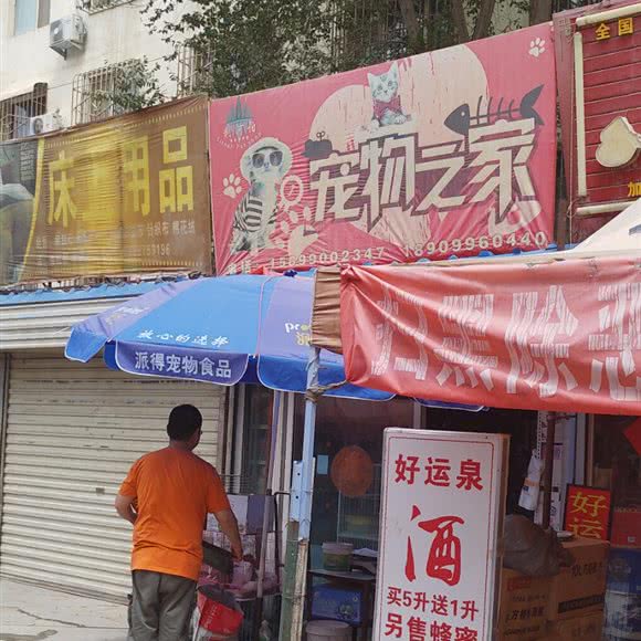宠物之家:巴音郭楞蒙古自治州库尔勒市