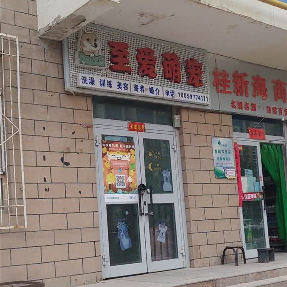 至爱萌宠:巴音郭楞蒙古自治州库尔勒市