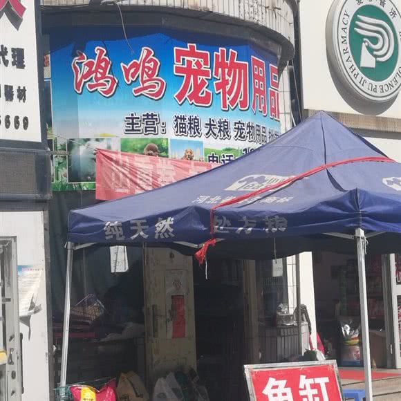 鸿鸣宠物用品店:巴音郭楞蒙古自治州库尔勒市