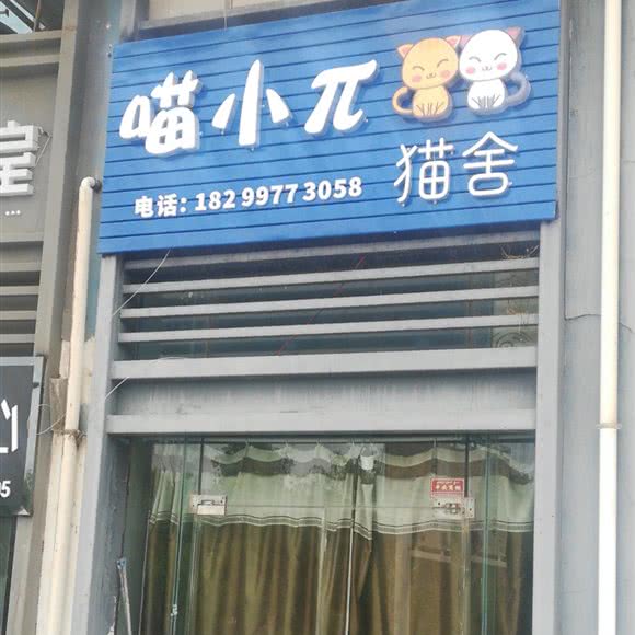 喵大π猫舍:巴音郭楞蒙古自治州库尔勒市