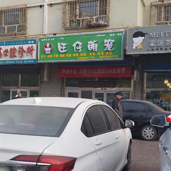 旺仔萌宠:巴音郭楞蒙古自治州库尔勒市