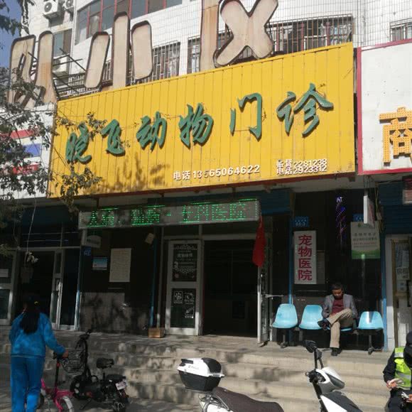 晓飞动物门诊(库尔勒店):巴音郭楞蒙古自治州库尔勒市