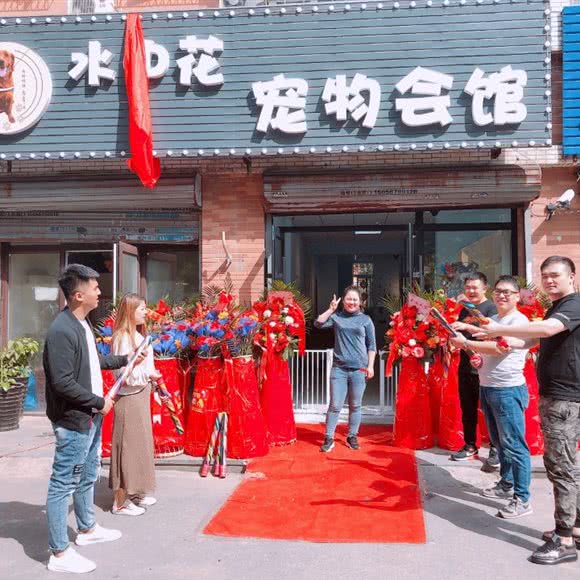 水中花宠物会馆:沈阳市浑南区浑南新区附近