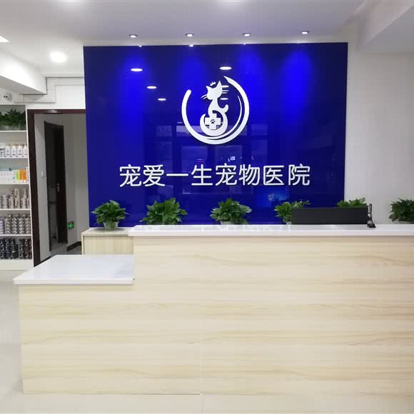 宠爱一生宠物医院:巴音郭楞蒙古自治州库尔勒市