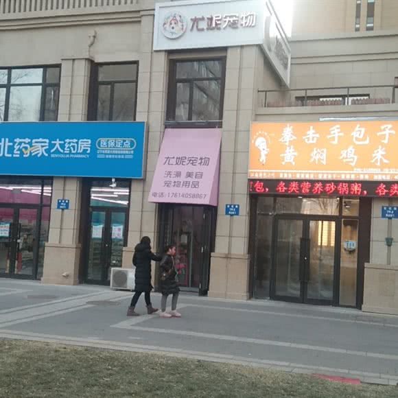 啵啵宠物美容:沈阳市浑南区浑南新区附近