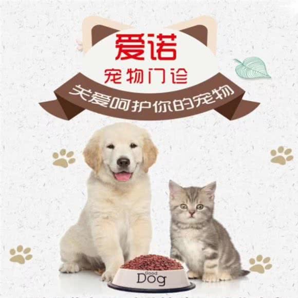 爱诺宠物门诊:阿克苏地区阿克苏市