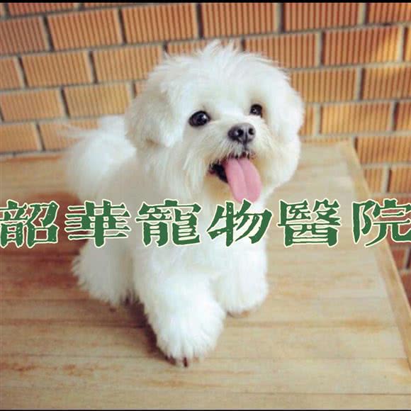 韶华动物医院:喀什地区喀什市