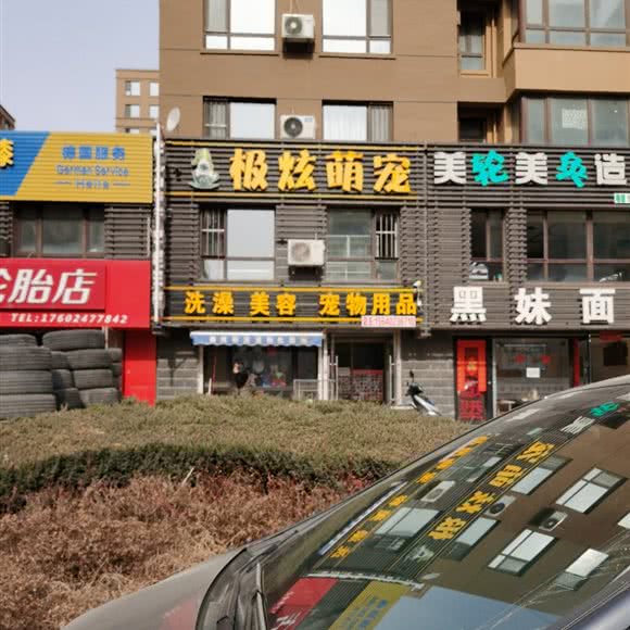 极炫萌宠:沈阳市浑南区浑南新区附近