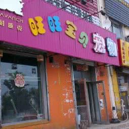 旺旺宝贝宠物:沈阳市浑南区浑南新区附近