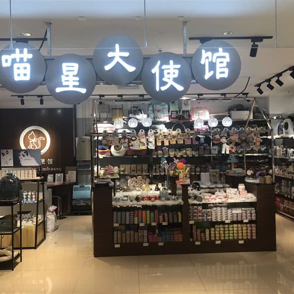 喵星大使馆:沈阳市浑南区浑南新区附近