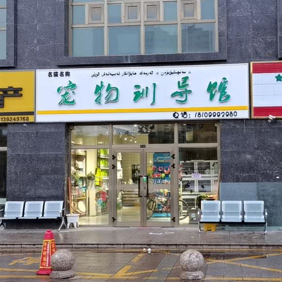 名猫名狗宠物训导馆:伊犁哈萨克自治州伊宁市