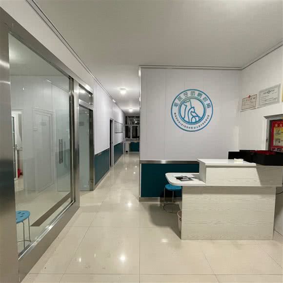 毛孩子动物诊所:伊犁哈萨克自治州伊宁市
