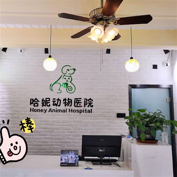 哈妮动物医院:伊犁哈萨克自治州伊宁市