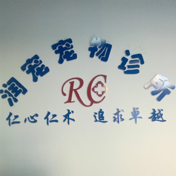 润宠宠物诊所:伊犁哈萨克自治州伊宁市