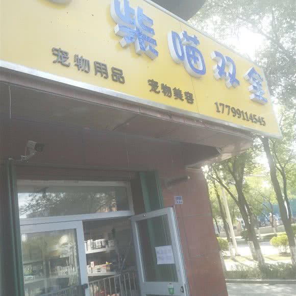 柴喵双全:伊犁哈萨克自治州奎屯市