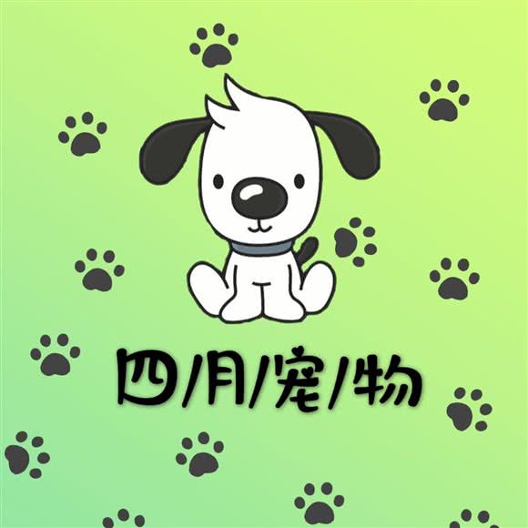 四月宠物:伊犁哈萨克自治州奎屯市