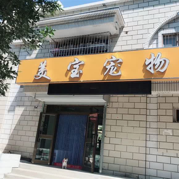 美宝宠物:伊犁哈萨克自治州奎屯市