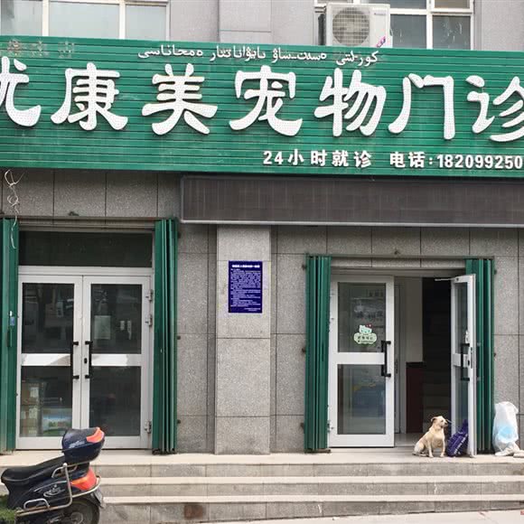 优康美宠物门诊:伊犁哈萨克自治州奎屯市