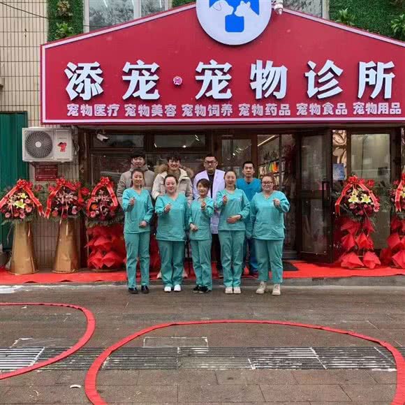 添宠宠物诊所:伊犁哈萨克自治州奎屯市