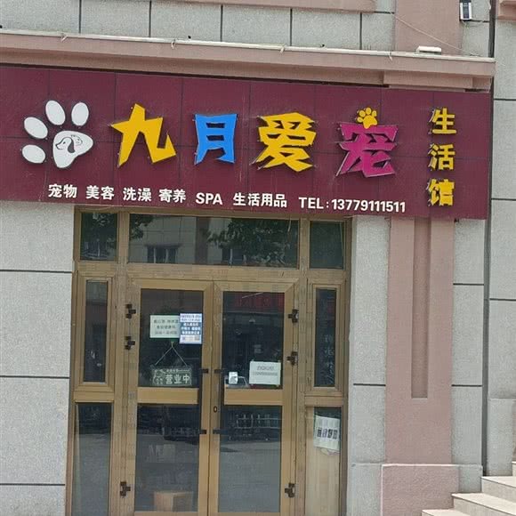 七月爱宠生活馆:伊犁哈萨克自治州霍尔果斯市