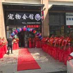 麦多萌宠物会馆:沈阳市浑南区浑南新区附近