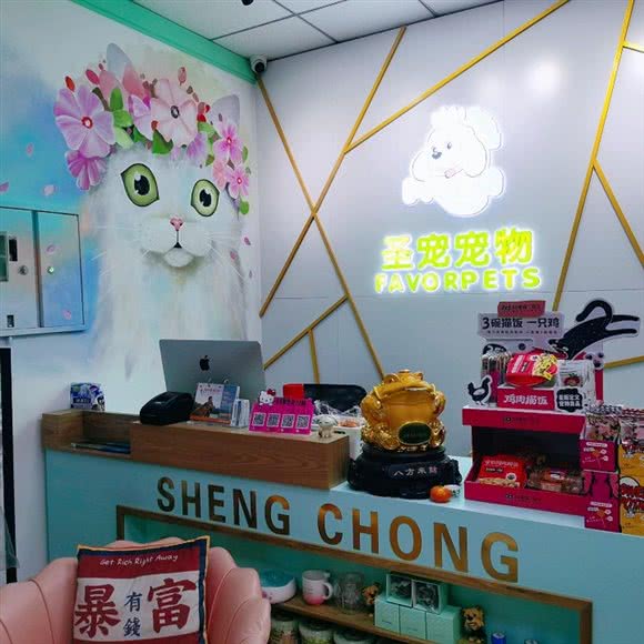 圣宠宠物(全国连锁首创光和城店):沈阳市浑南区浑南新区附近